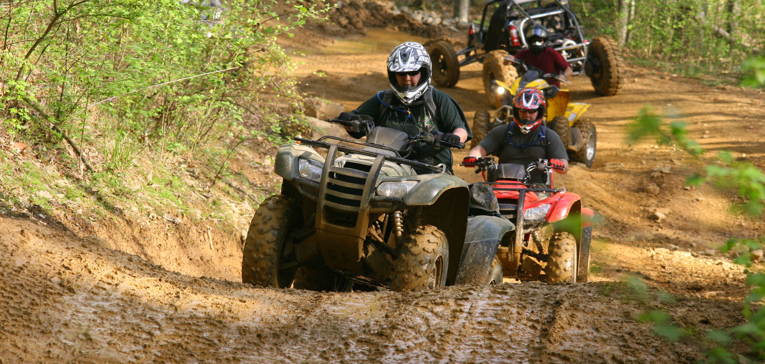 The Importance of Rich Media in Integrated Marketing