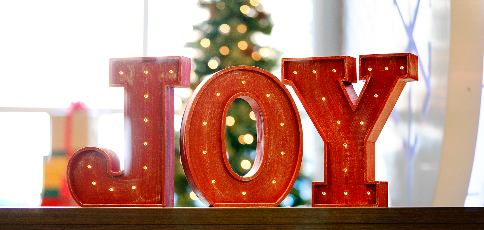 December at Designsensory: Winter Wonders