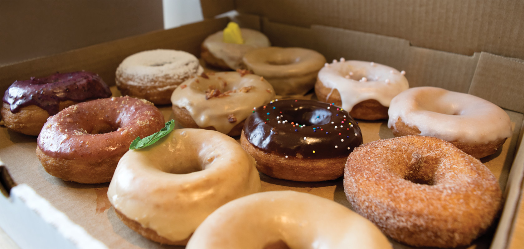 UTK American Marketing Association Tours Designsensory