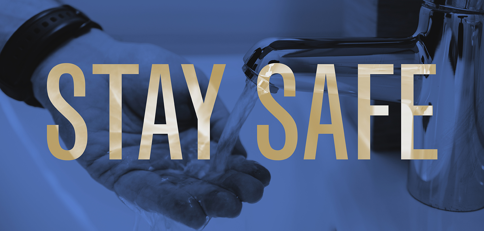 March at Designsensory: Embracing a Virtual Workplace