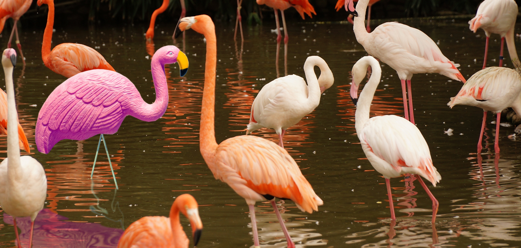 You’re Not a Fake: Battling Imposter Syndrome