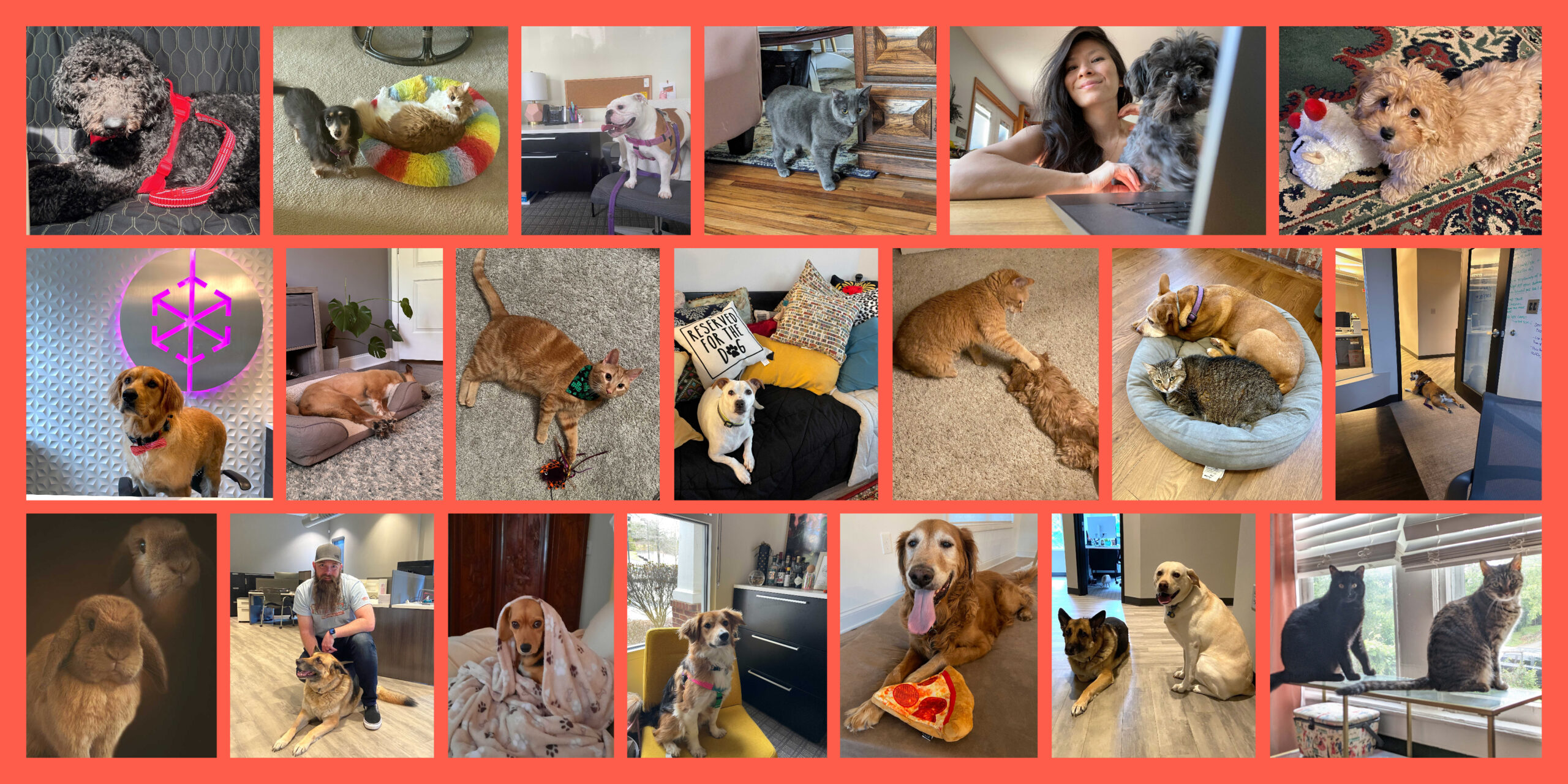 Happy Bring Your Dog to Work Day!