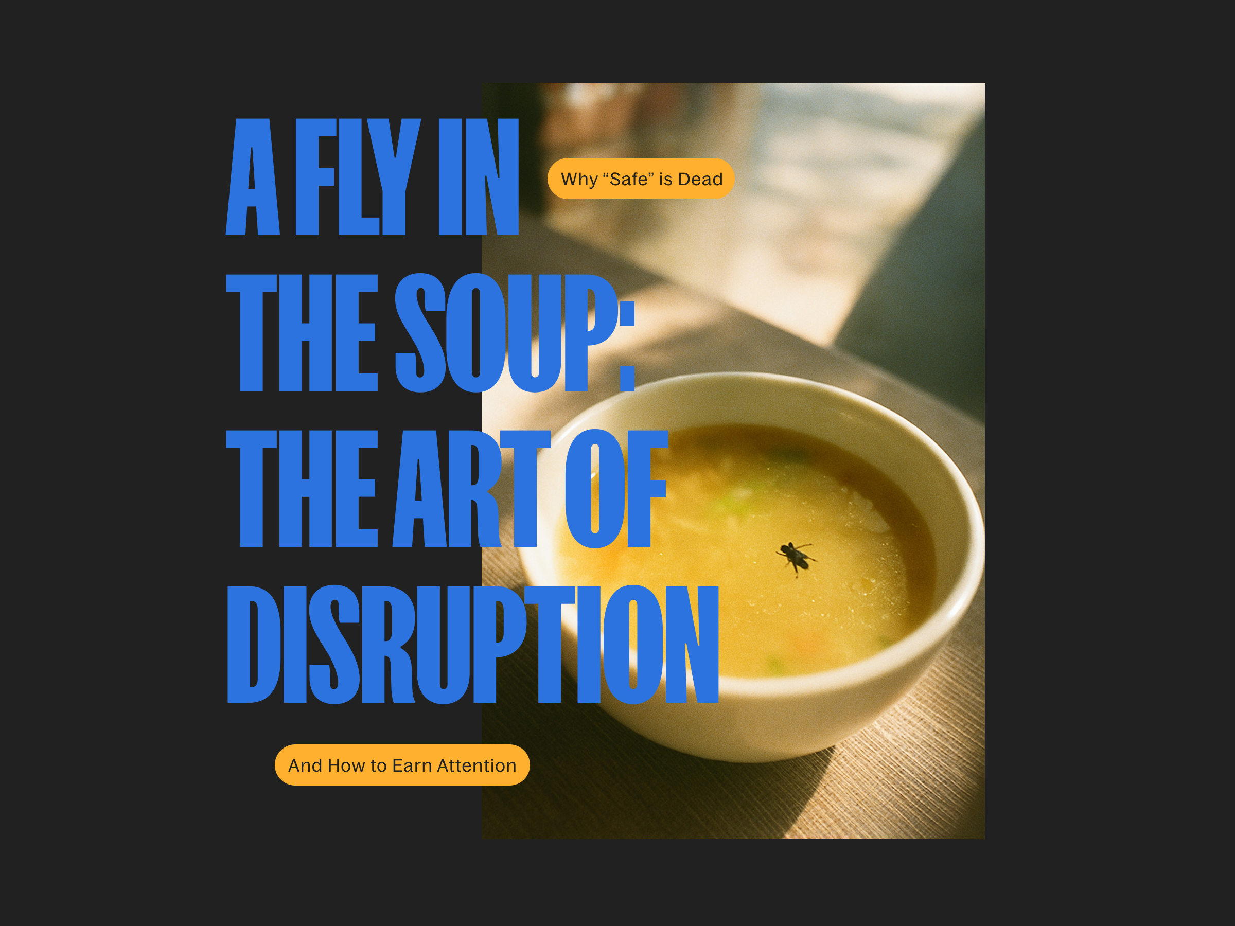 A Fly in the Soup: The Art of Disruption