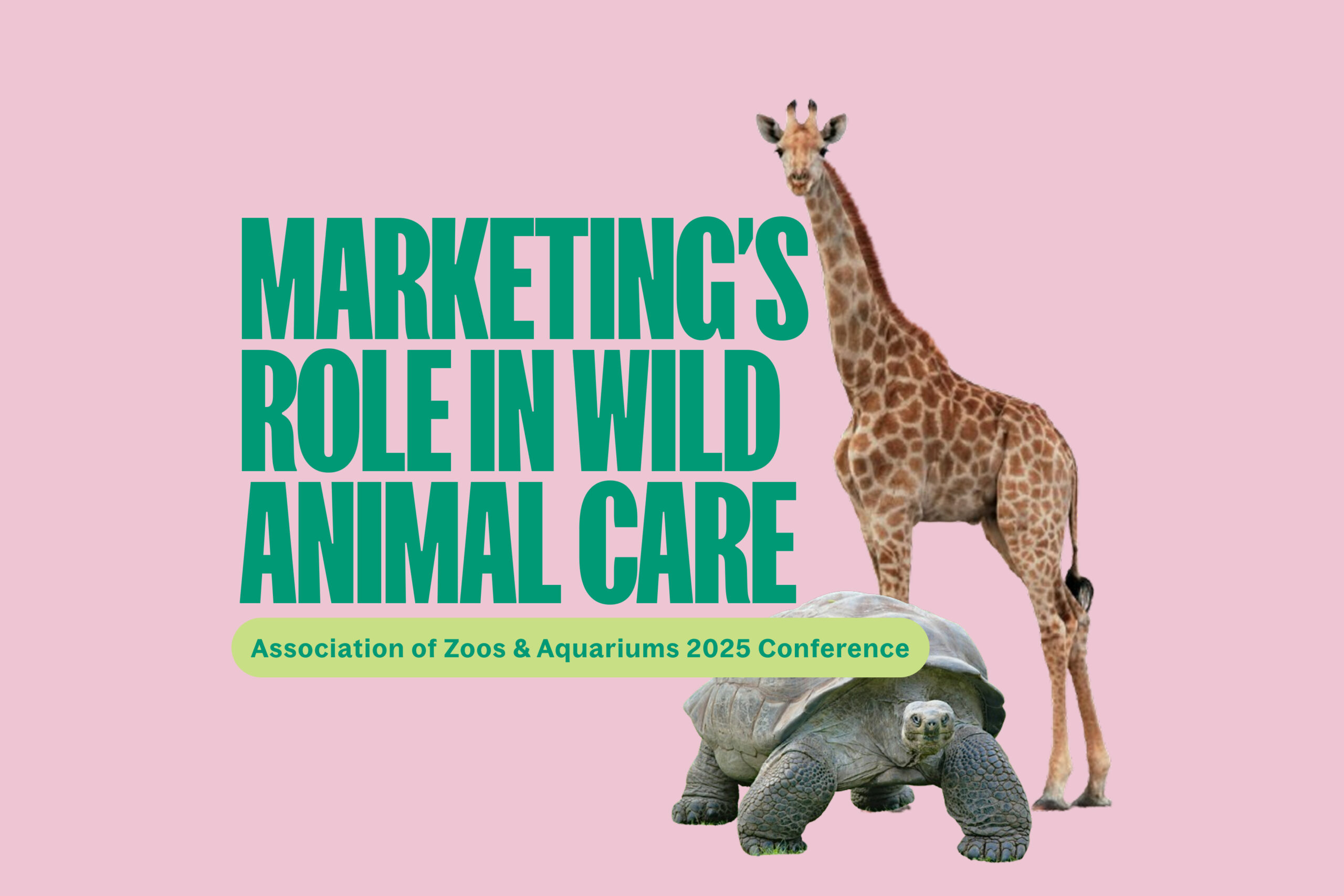 Marketing’s Role in Caring for Wild Animals and Wild Places